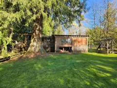 25080 4 Avenue, Langley, BC