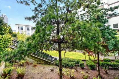 Laundry Room Photo of 211 13768 108 Avenue, Surrey, BC