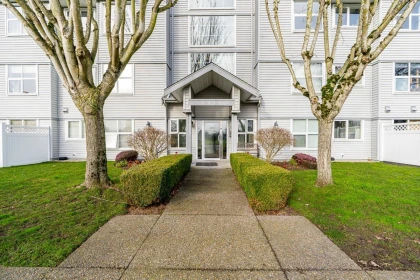 Backyard Photo of 208 4989 47 Avenue, Ladner, BC