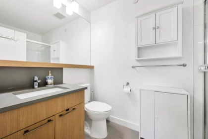 Guest Bathroom Photo of 22 22810 113 Avenue, Maple Ridge, BC