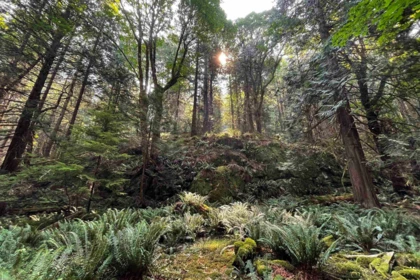 Outdoor Patio Photo of 1558 Mount Gardner Road, Bowen Island, BC