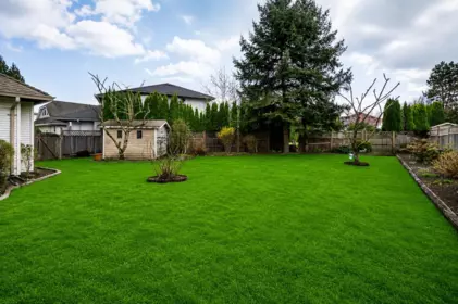Swimming Pool Photo of 16156 94a Avenue, Surrey, BC