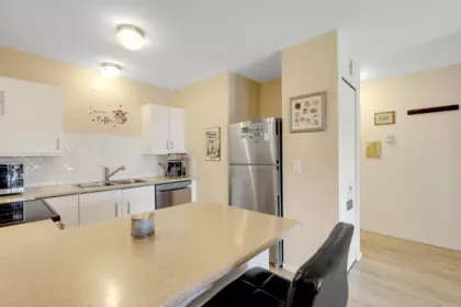 Pantry Photo of 303 8934 Mary Street, Chilliwack, BC