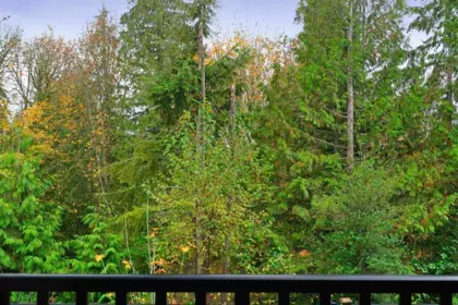 Primary Bedroom Photo of 20 13263 236 Street, Maple Ridge, BC