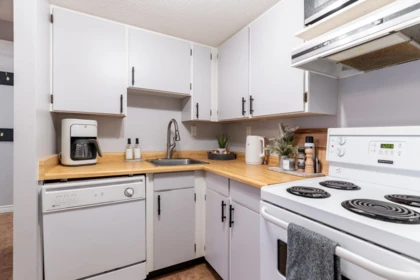 Primary Bedroom Photo of 203B 21000 Enzian Way, Mission, BC