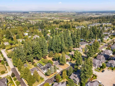 Kitchen Photo of 16235 28 Ave, Surrey, BC