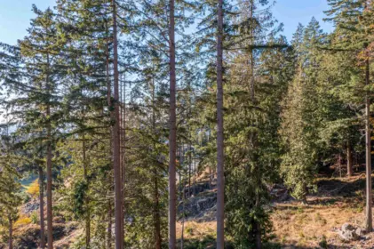 822 Mcintosh Lane, Bowen Island, BC, Bowen Island — Land for sale