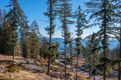 822 Mcintosh Lane, Bowen Island, BC, Bowen Island — Land for sale