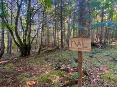 lot 17 Bodega Beach Drive, Galiano Island, BC, Galiano Island — Land for sale