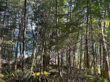 Primary Bedroom Photo of lot 17 Bodega Beach Drive, Galiano Island, BC
