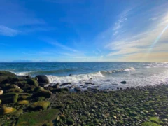 lot 17 Bodega Beach Drive, Galiano Island, BC