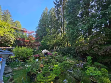 Exterior Rear Photo of 435 E Osborne Road, North Vancouver, BC