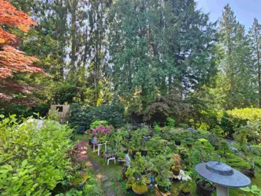Family Room Photo of 435 E Osborne Road, North Vancouver, BC