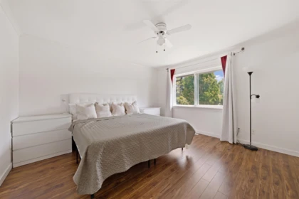 Basement Recreation Room Photo of 23190 122 Avenue, Maple Ridge, BC
