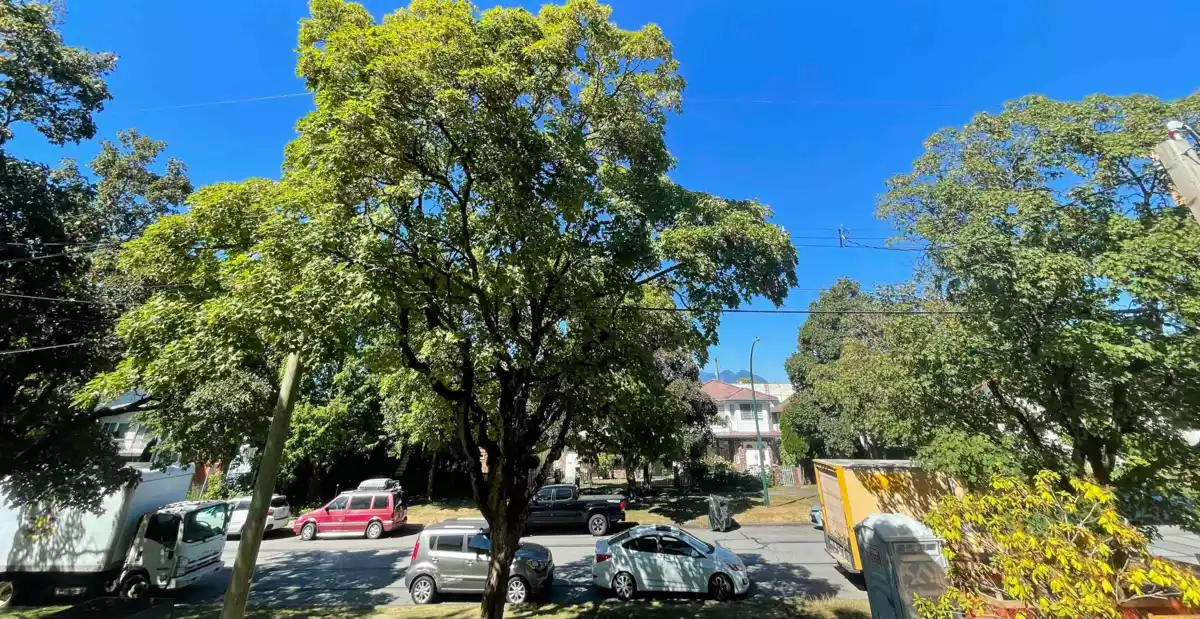 Garage Interior Photo of 2250 E Pender Street, Vancouver, BC
