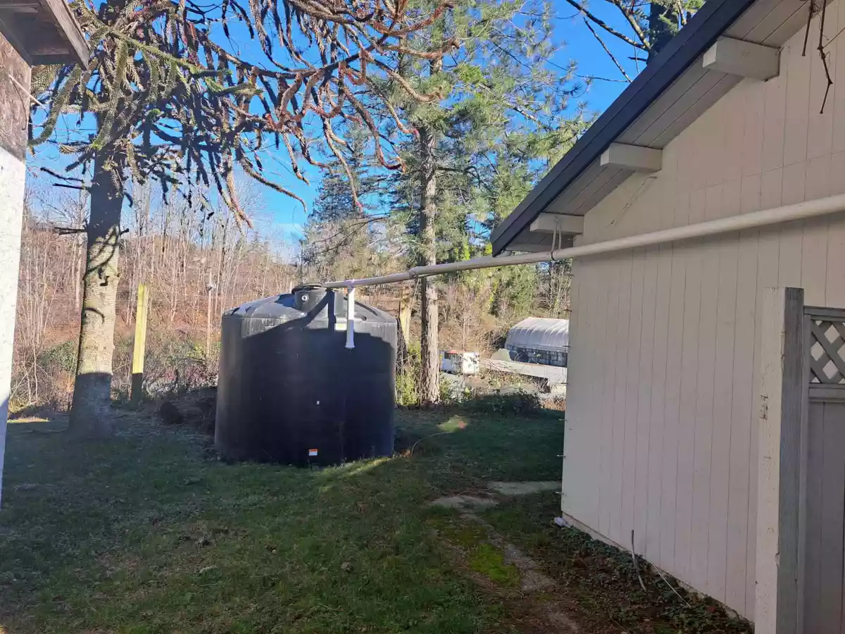 Kitchen Photo of 37318 Ward Road, Abbotsford, BC
