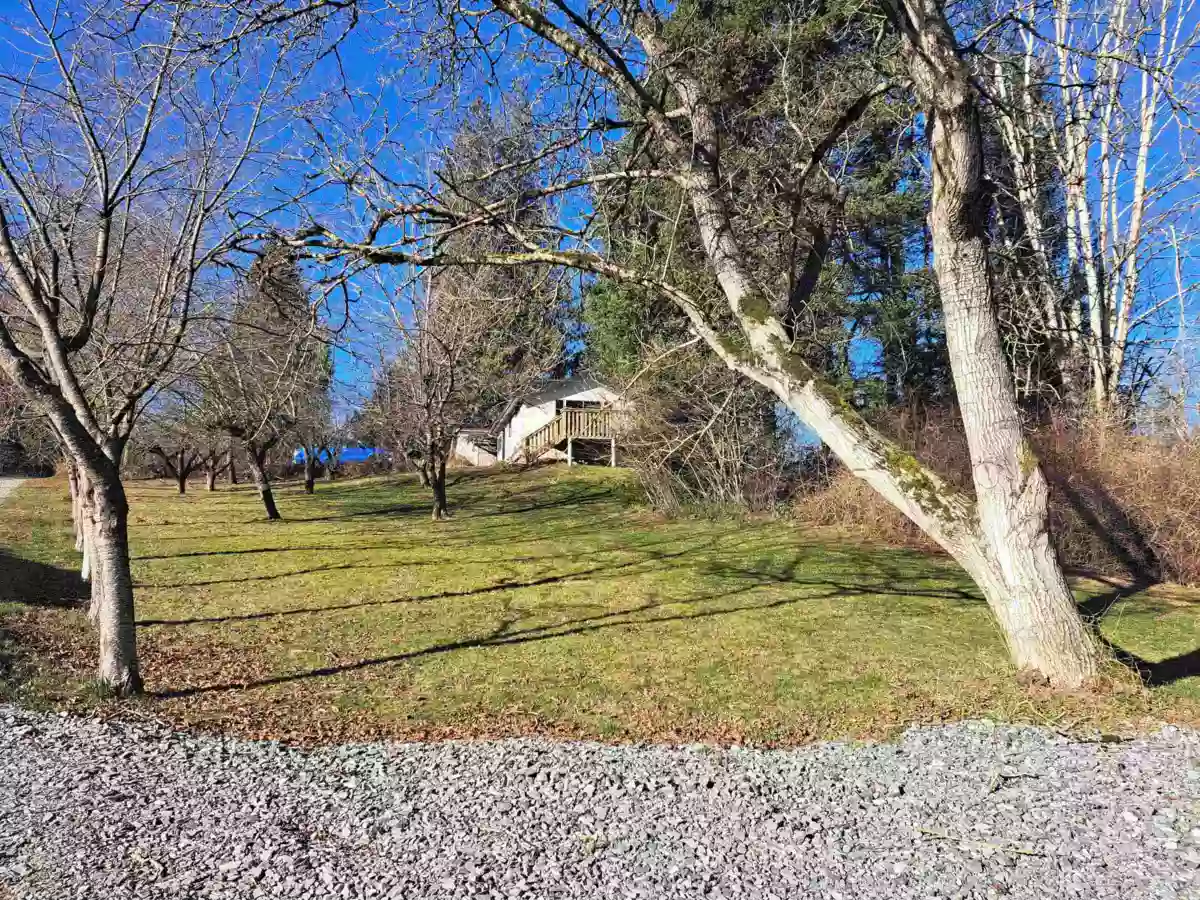 Outdoor Deck Photo of 37318 Ward Road, Abbotsford, BC