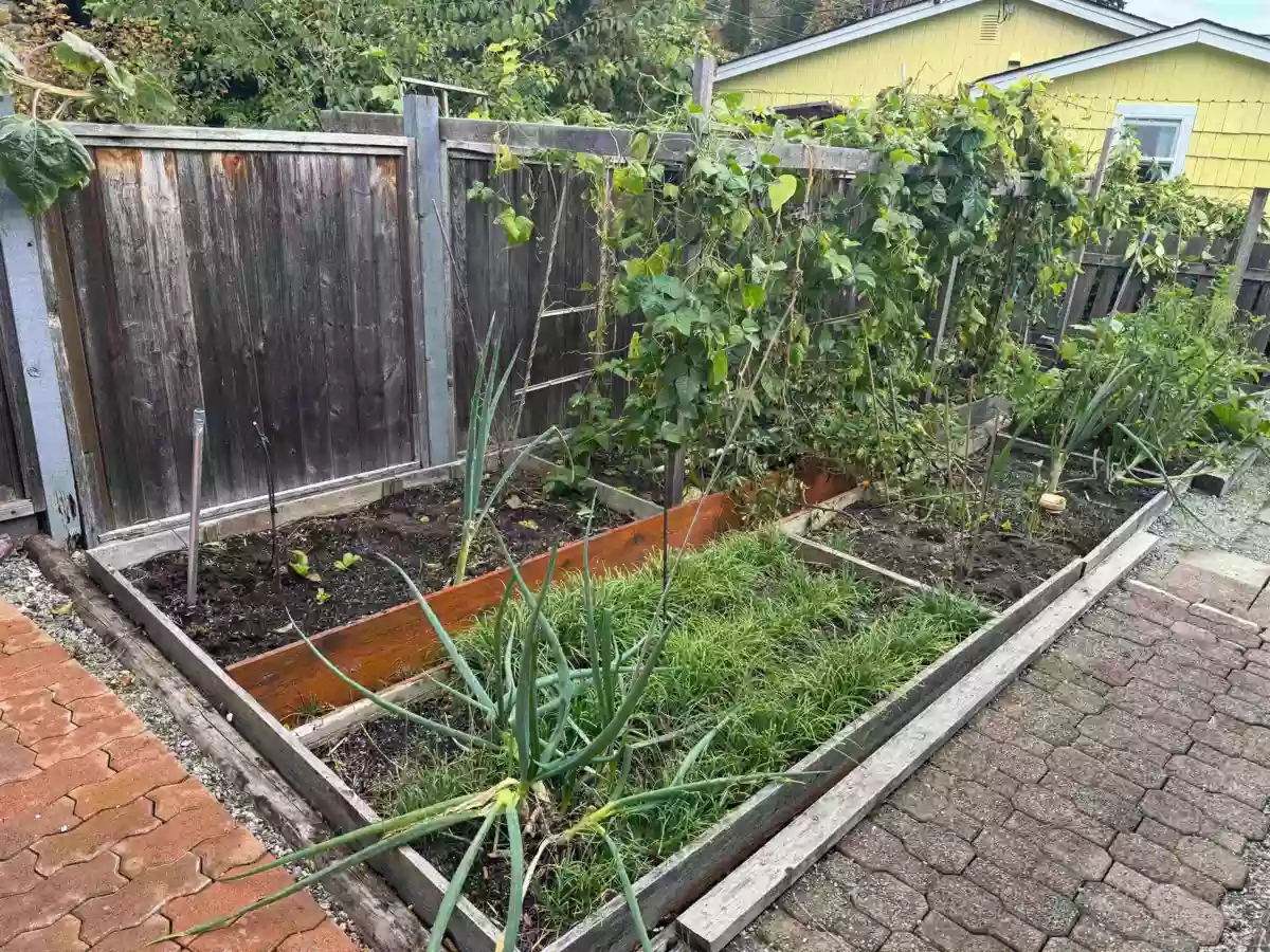 Kitchen Island Photo of 4657 Whitaker Road, Sechelt, BC