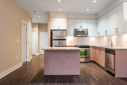 109 55 Eighth Avenue, New Westminster, BC