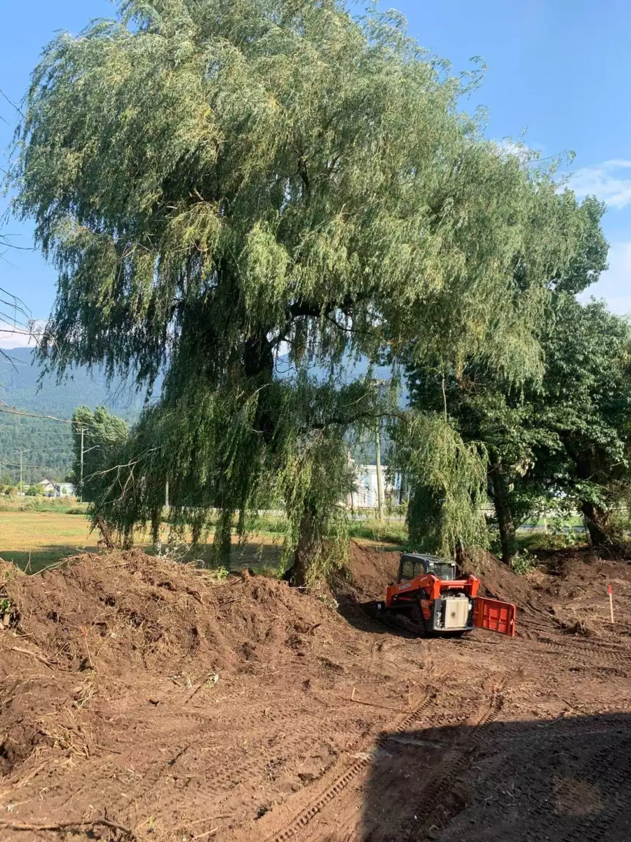 Bedroom 3 Photo of 49539 Prairie Central Road, Chilliwack, BC