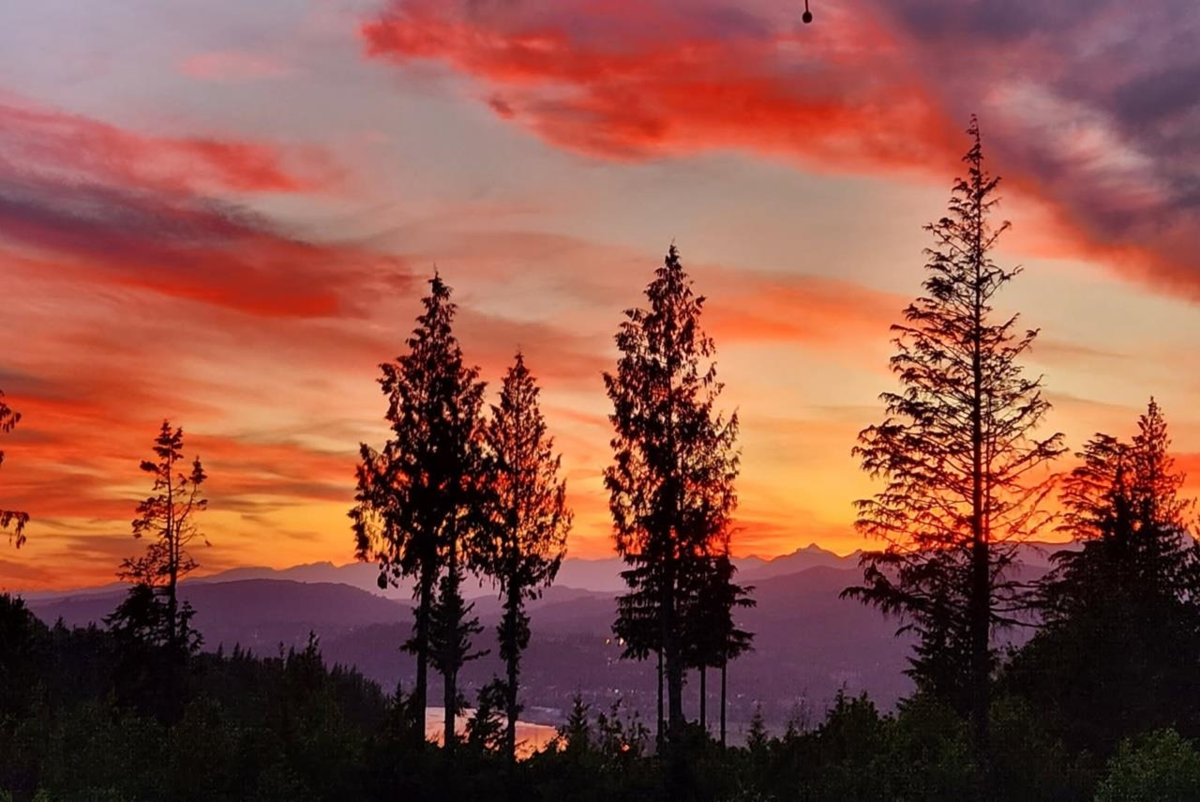 Bedroom 2 Photo of 12 37885 Bakstad Road, Abbotsford, BC
