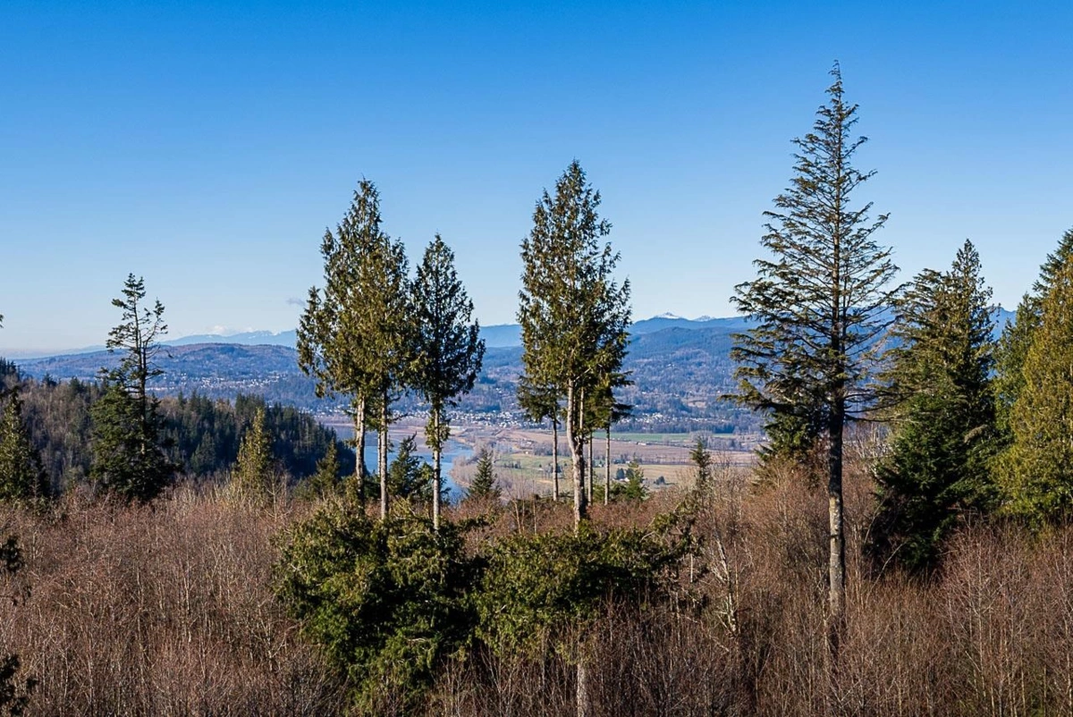 Walk-In Closet Photo of 12 37885 Bakstad Road, Abbotsford, BC