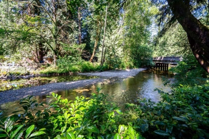 Neighborhood Park Photo Near 22592 132 Avenue, Maple Ridge, BC