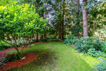 Outdoor Kitchen Photo of 22592 132 Avenue, Maple Ridge, BC