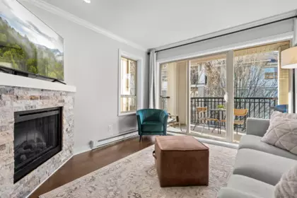 A302 8929 202 Street, Langley, BC, Walnut Grove — 1 bed apartment/condo for sale