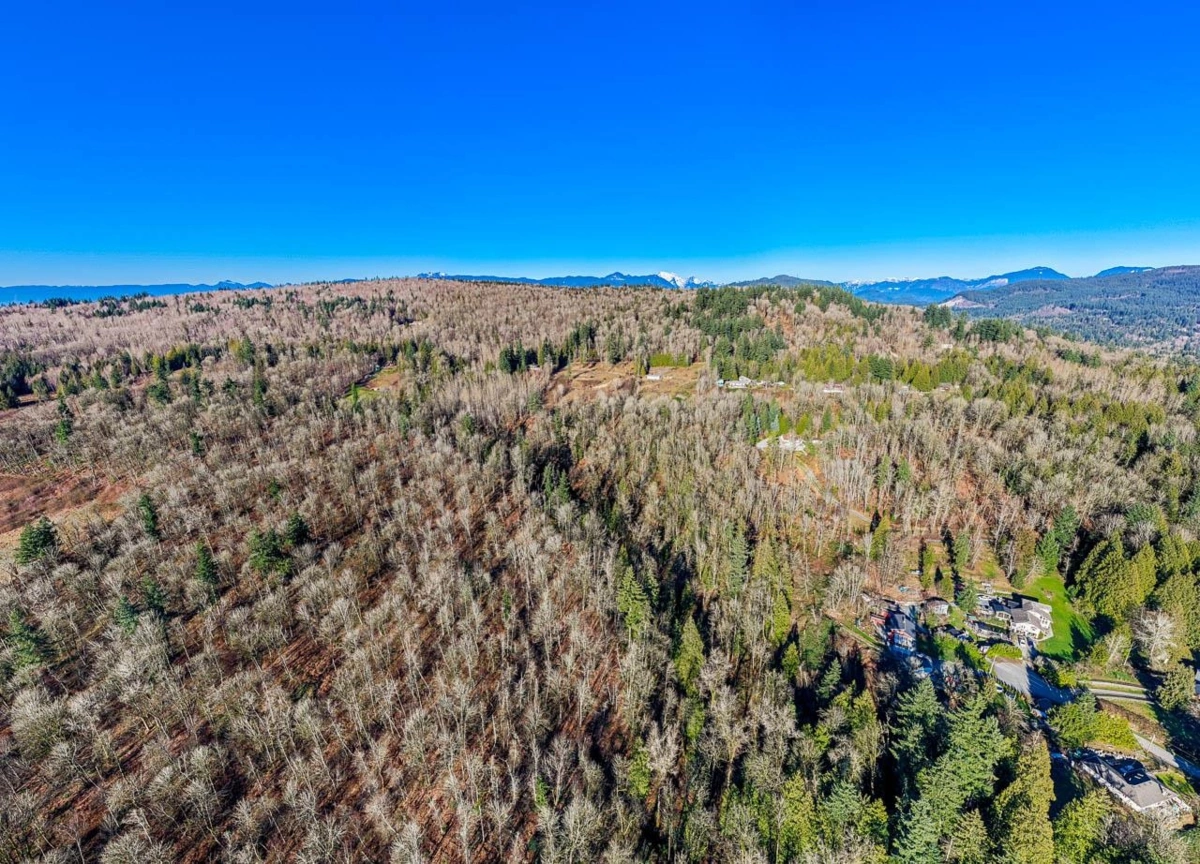 Living Room Photo of 31390 Olson Avenue, Mission, BC