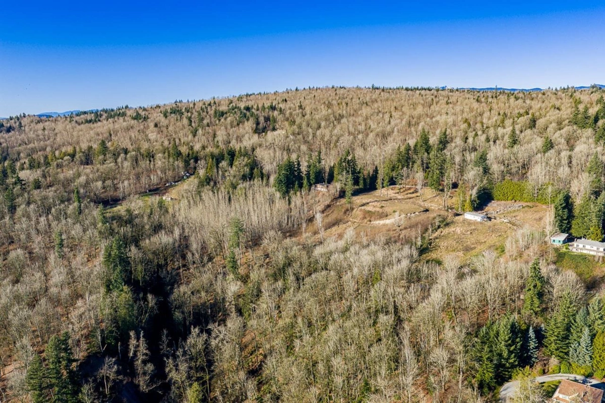 Swimming Pool Photo of 31390 Olson Avenue, Mission, BC