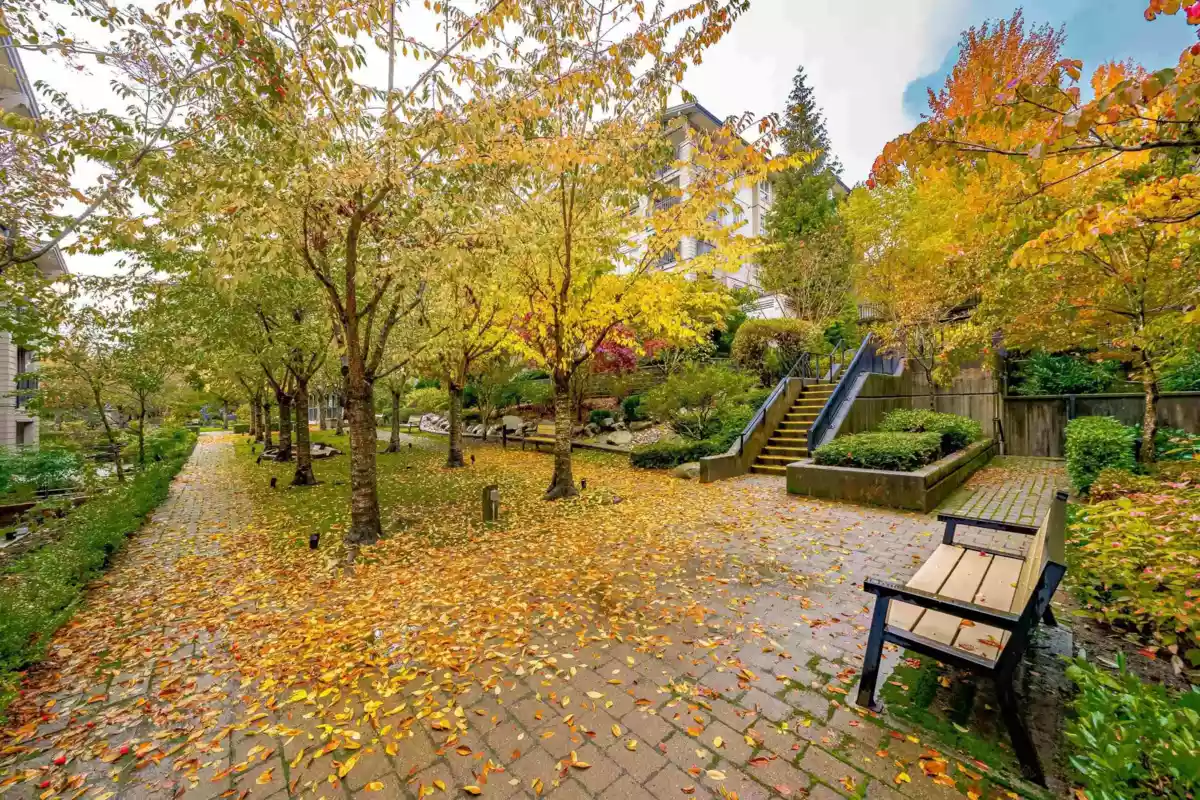 Basement Recreation Room Photo of 105 1330 Genest Way, Coquitlam, BC