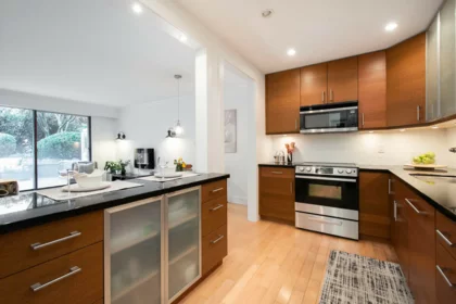 101 236 W 2nd Street, North Vancouver, BC