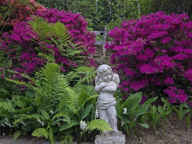 Outdoor Kitchen Photo of 122 43995 Chilliwack Mountain Road, Chilliwack, BC