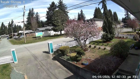 Aerial View of 33232 Hawthorne Avenue, Abbotsford, BC