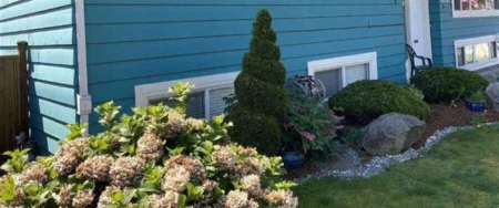 Playground / Recreational Area Near 33232 Hawthorne Avenue, Abbotsford, BC