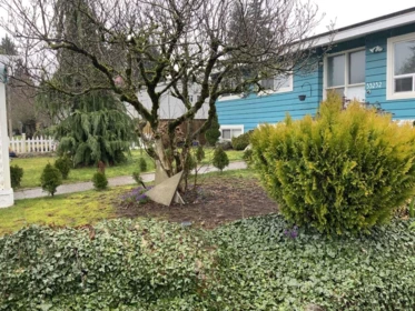 Swimming Pool Photo of 33232 Hawthorne Avenue, Abbotsford, BC