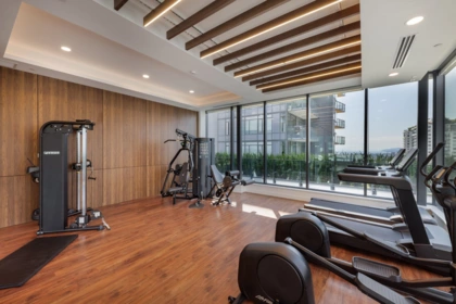 Aerial View of TH8 135 E 13th Street, North Vancouver, BC