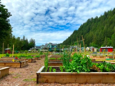 Playground / Recreational Area Near 43339 Creekside Circle, Lindell Beach, BC