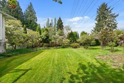 Aerial View of 9507 204b Street, Langley, BC