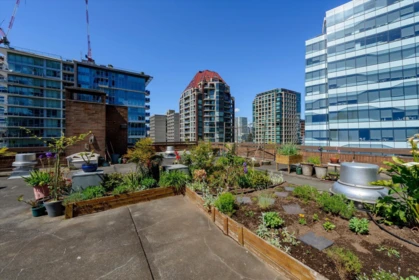 Outdoor Kitchen Photo of 407 950 Drake Street, Vancouver, BC