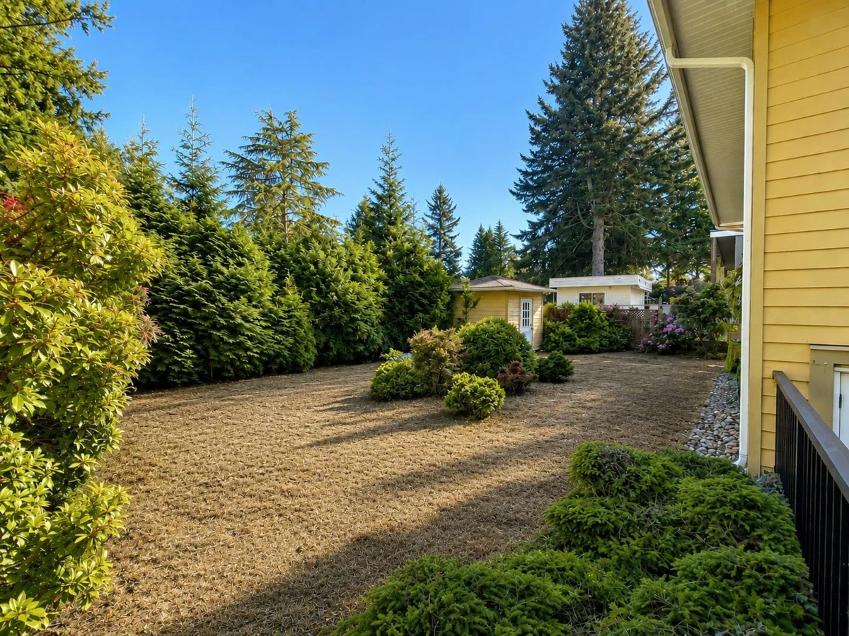 Exterior Rear Photo of 14068 Blackburn Avenue, Surrey, BC