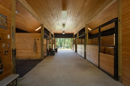 Swimming Pool Photo of 27454 110 Avenue, Maple Ridge, BC
