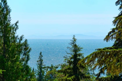Pantry Photo of 931 Fairway Lane, Bowen Island, BC