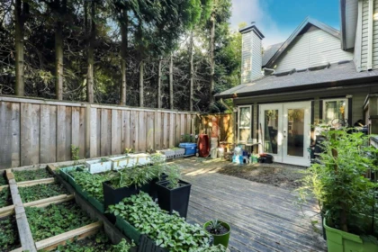 Aerial View of 1 21801 Dewdney Trunk Road, Maple Ridge, BC