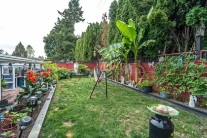 Basement Recreation Room Photo of 25 13650 80 Avenue, Surrey, BC