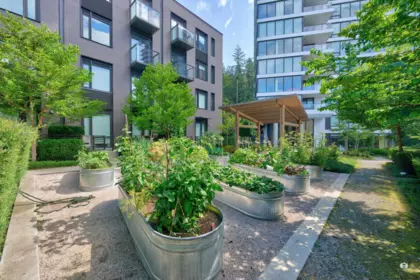 Backyard Photo of 401 5681 Birney Avenue, Vancouver, BC