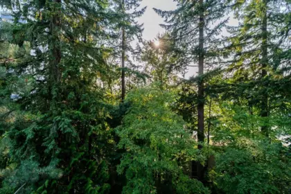 Outdoor Patio Photo of 704 9541 Erickson Drive, Burnaby, BC