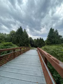 Street View Photo of 205 20600 53a Avenue, Langley, BC