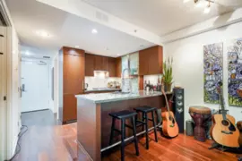 210 1055 Richards Street, Vancouver, BC